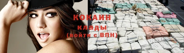 гашик Аркадак