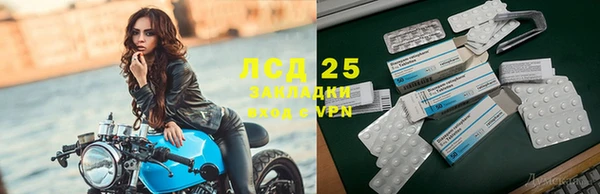 гашик Аркадак
