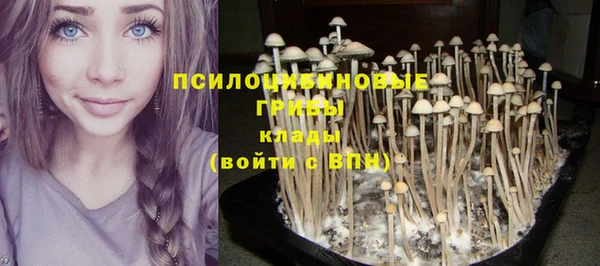 соль ск Арсеньев