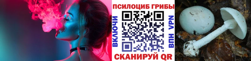 Псилоцибиновые грибы MAGIC MUSHROOMS  Усмань 